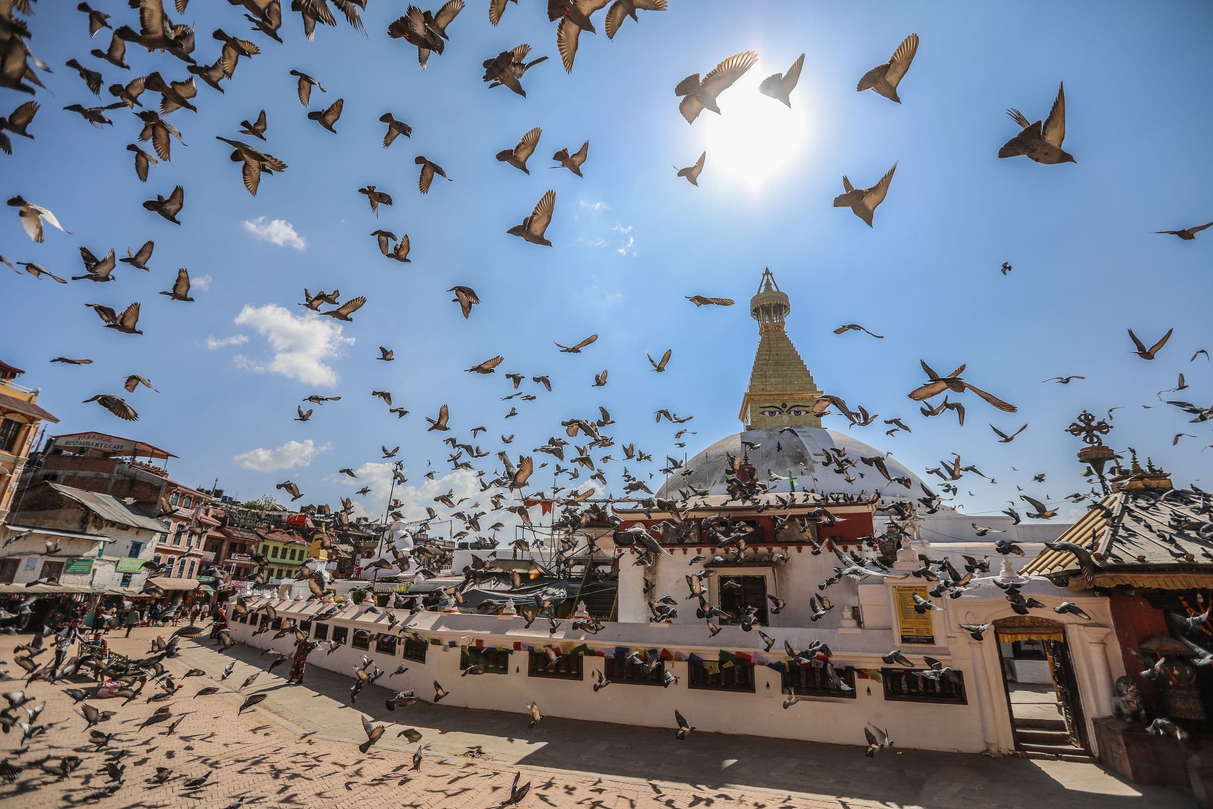 Birds flying over Boudhanath Stupa in Kathmandu, Nepal, under a clear blue sky.