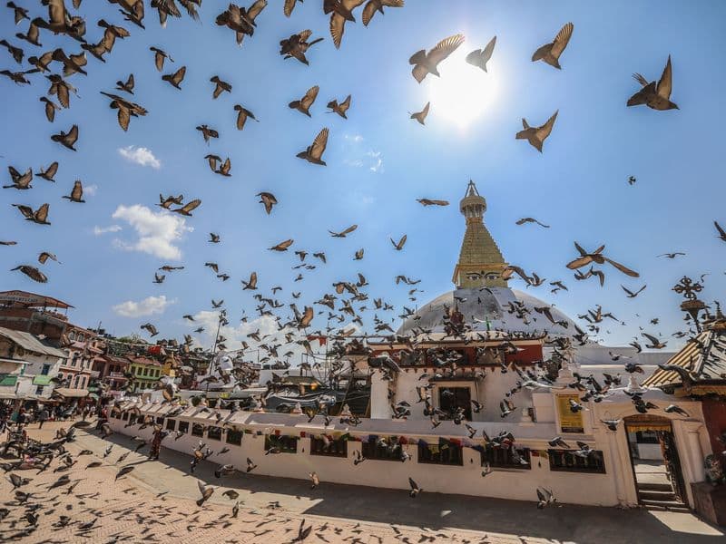 Birds flying over Boudhanath Stupa in Kathmandu, Nepal, under a clear blue sky.