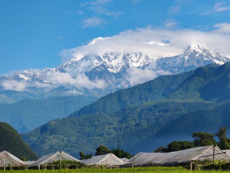 Snow-capped Himalayan peaks towering over lush green hills with serene skies in Nepal.