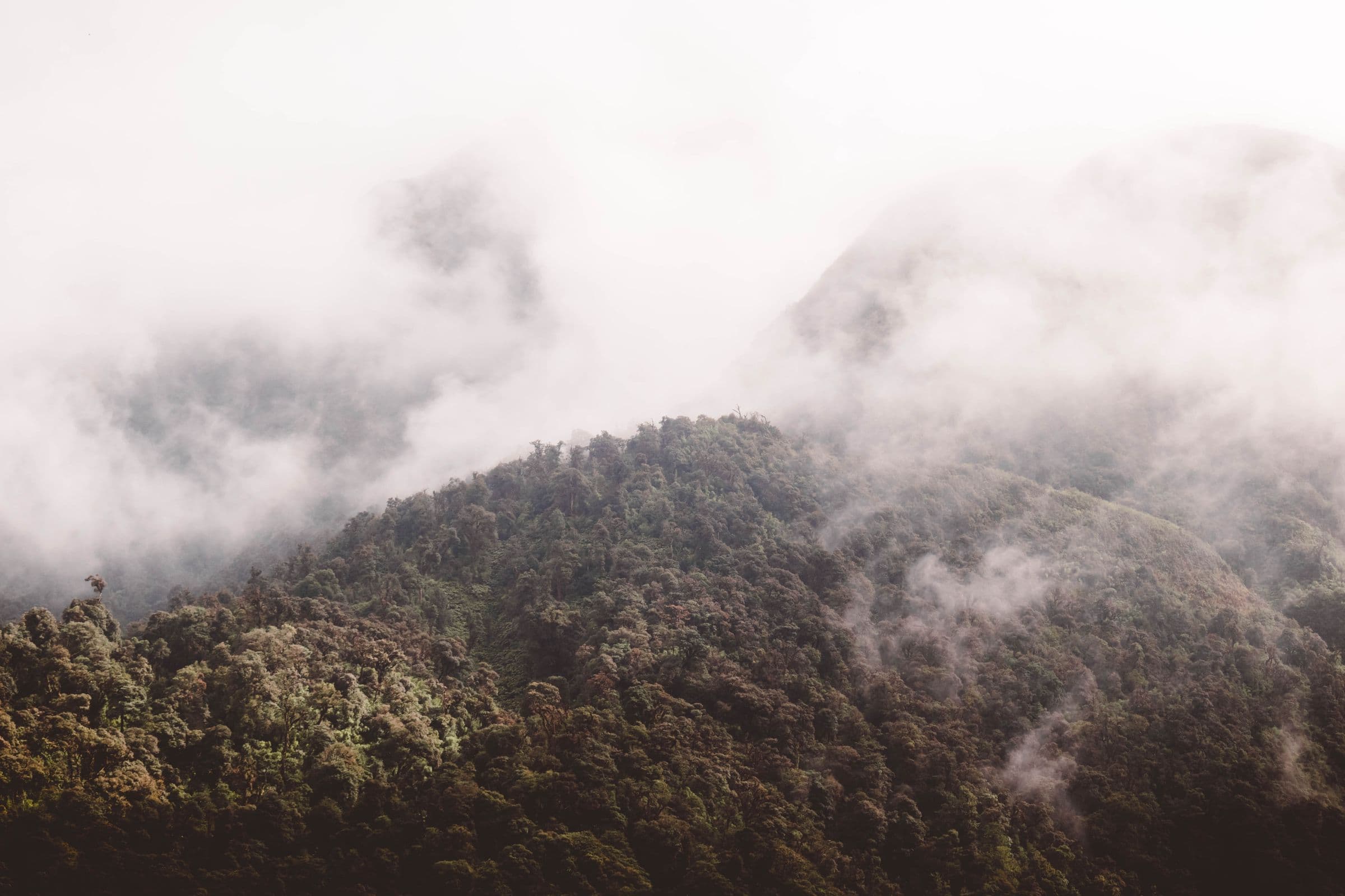 A serene landscape of lush green hills enveloped in mist and clouds, creating a tranquil scene.
