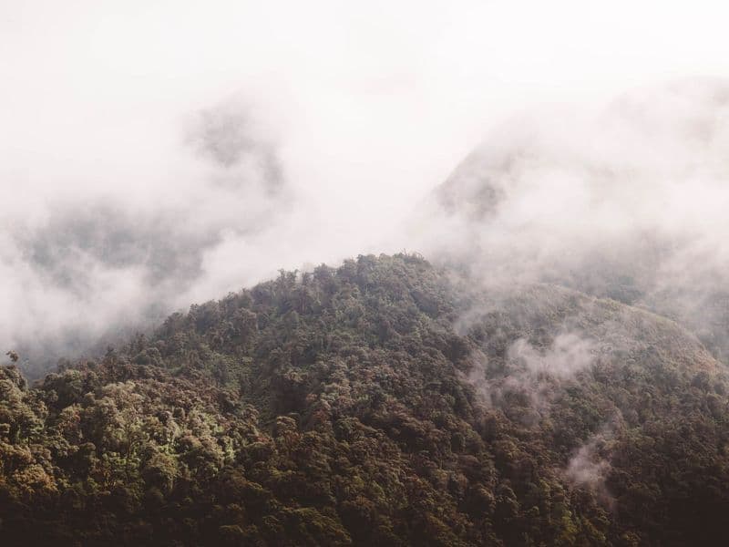 A serene landscape of lush green hills enveloped in mist and clouds, creating a tranquil scene.